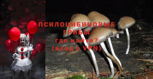молекула духа Беломорск