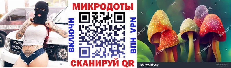 Галлюциногенные грибы Psilocybe наркота Бугульма