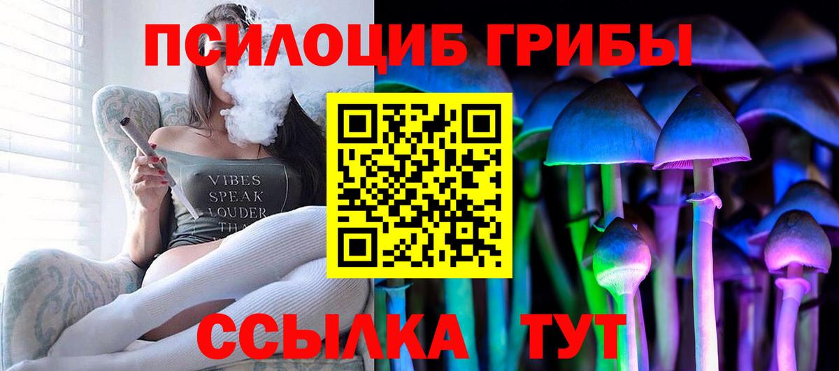 Галлюциногенные грибы Cubensis Бугульма